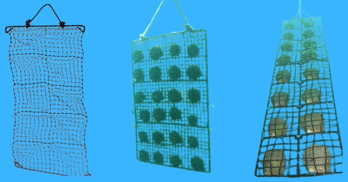 Seep Net Supplier in India