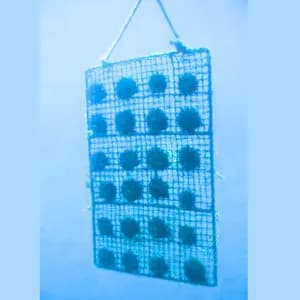 Seep Nets for Pearl Farming